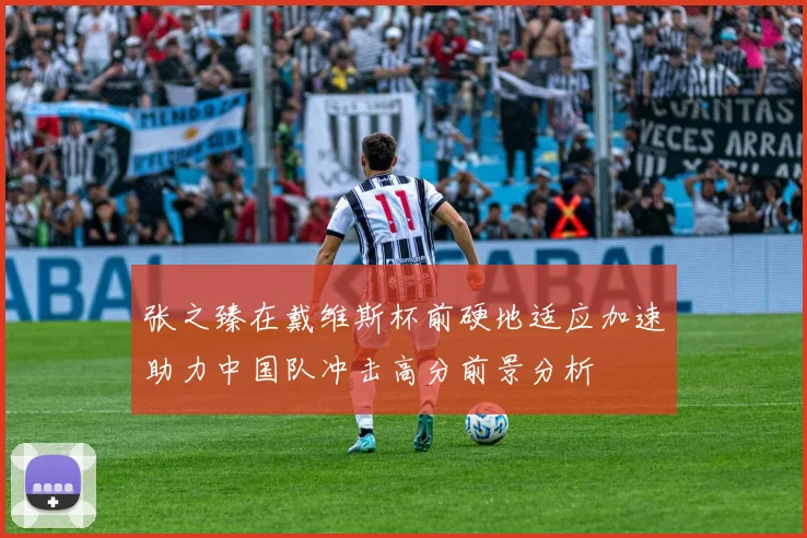 张之臻在戴维斯杯前硬地适应加速助力中国队冲击高分前景分析